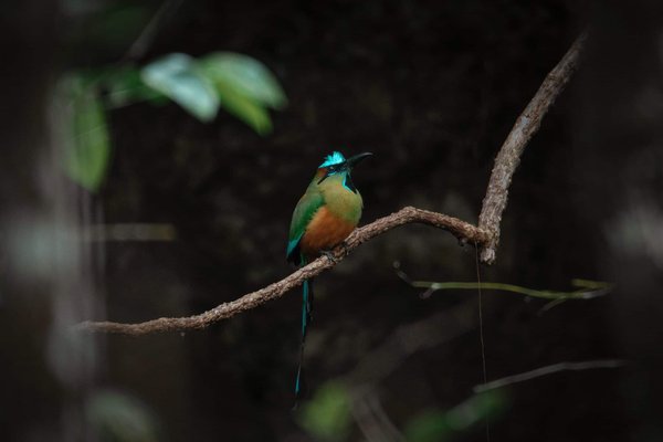 What Are the Structural Challenges of Building on Reclaimed Land?