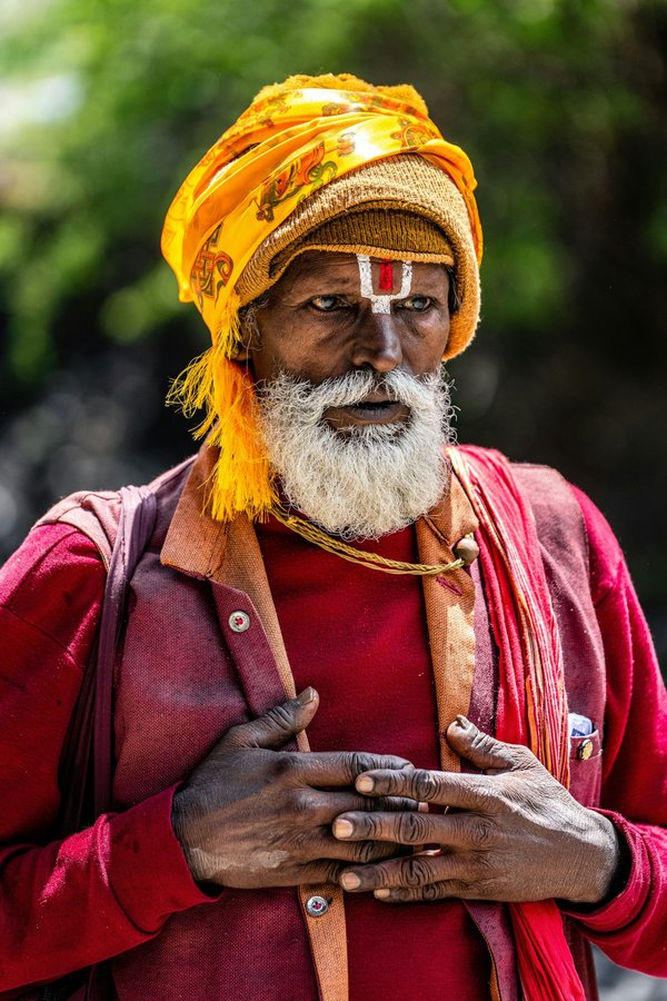 How Can You Create a Vertical Herb Garden in a Kitchen with Limited Space?