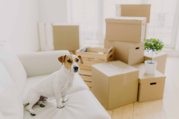 Which Loafer Styles Are Best for an Office Environment Where Comfort Is Key?